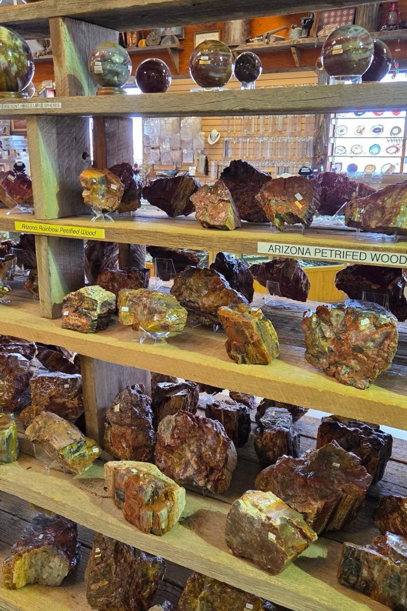 Petrified wood shop